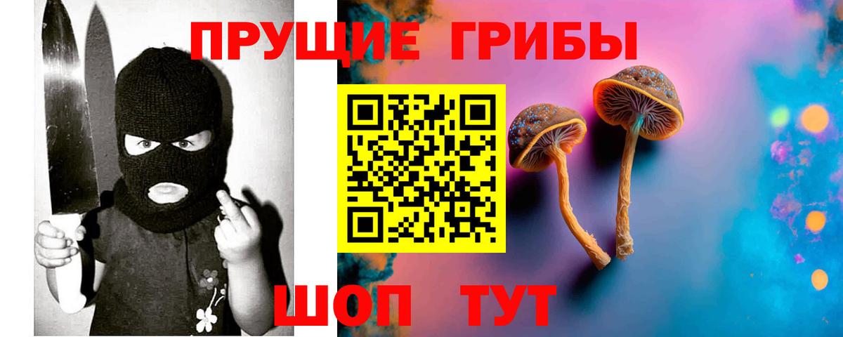Псилоцибиновые грибы Psilocybe  Вход с VPN  Черногорск 